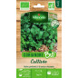 Sobre semillas Cilantro Cultivado BIO - Coriandrum sativum Sobre semillas Cilantro Cultivado BIO - Coriandrum sativum
