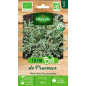 Organic Provence Thyme Seeds Packet - Thymus vulgaris Organic Provence Thyme Seeds Packet - Thymus vulgaris