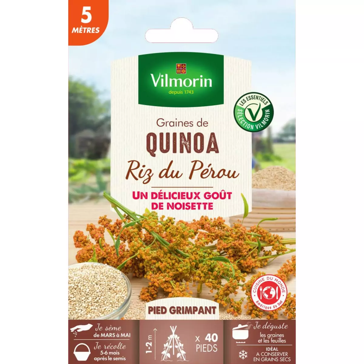 Sachet graines Quinoa Riz du Pérou - Chenopodium quinoa