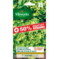 Semillas de bolsa Lechuga cortada Hoja de roble semillas negras 50% Gratis