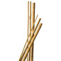 Lotto di 10 Bamboo Tutors 60 cm diam 6-8 mm Lotto di 10 Bamboo Tutors 60 cm diam 6-8 mm