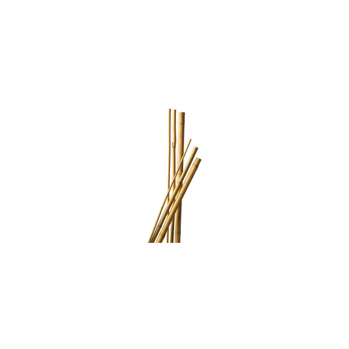 7 Bamboo Tutors 90 cm diam 6-8 cm