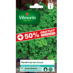 Sachet Seeds Persil curly dark green + 50% FREE