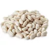 Early White Coconut Bean Seeds - 5 kg bag
