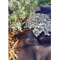 Mulch felt 1.6 x 5 m