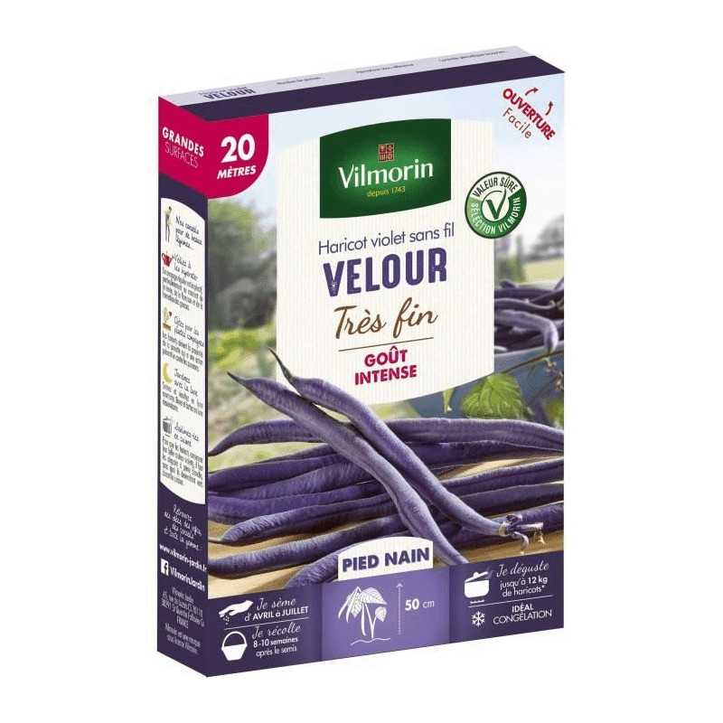 Semi Fagiolino nano VELOUR 20 m Vilmorin - Baccelli viola molto fini Semi Fagiolino nano VELOUR 20 m Vilmorin - Baccelli viola molto fini