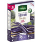 Semillas Judía enana VELOUR 20 m Vilmorin - Vainas violetas muy finas Semillas Judía enana VELOUR 20 m Vilmorin - Vainas violetas muy finas