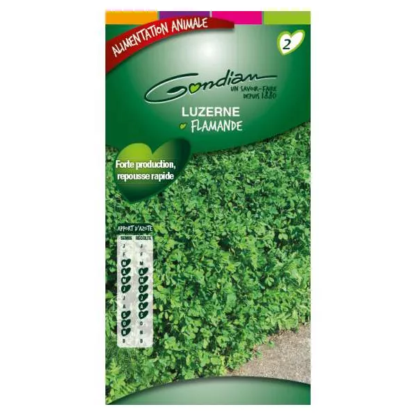La alfalfa flamenca El abono verde 500gr Vilmorin - 200 m2
