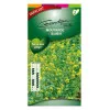 Moutarde blanche Engrais vert 500gr Vilmorin - 400 m2
