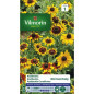 Rudbeckia Gloriosa Margherita Borsa di Semi Rudbeckia Gloriosa Margherita Borsa di Semi