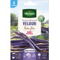 Semi di fagiolo viola senza filo VELOUR molto fine - 5 metri