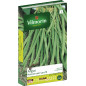 ARGUS Wireless Dwarf Bean Seeds vilmorin