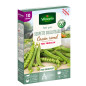 Seeds of Peas with Round Grain SERPETTE GUILLOTEAUX - 10 meters