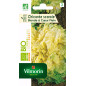 Sachet graines de Chicorée Scarole Blonde à coeur plein BIO