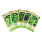Pack of 5 sachets organic aromatic seeds: Basil - Ciboulette -Coriandre - Parsley - Cerfeuil