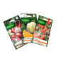 Frische Packung mit 3 Samenbeuteln - Kirschtomat - Melone Charentais - Radis Pernot