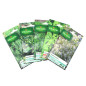 Confezione di 5 bustine aromatiche di semi - Timo - Oseille - Prezzemolo - Menta - Rosmarino Confezione di 5 bustine aromatiche di semi - Timo - Oseille - Prezzemolo - Menta - Rosmarino
