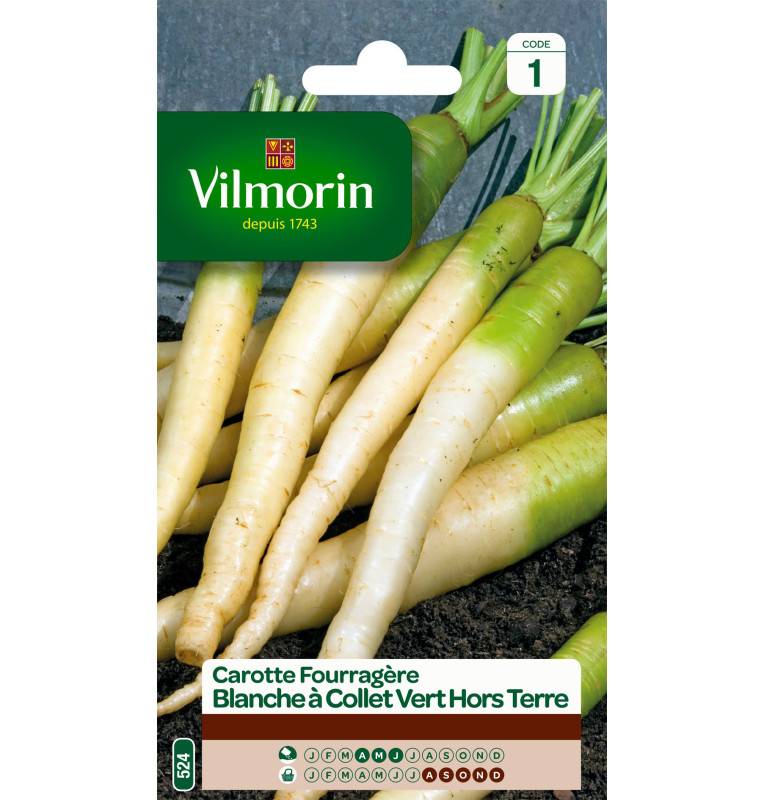 Sachet graines Carotte fourragère Blanche à collet vert