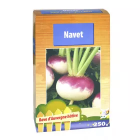 Graines de Navet Rave d'auvergne Hatif - Boite de 250 grs
