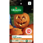 Borsa da seme di zucca lanterna magica Borsa da seme di zucca lanterna magica