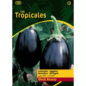 Sachet graines LES TROPICALES - Aubergine Black Beauty