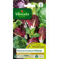 Leaf Chicorée Seeds Bag in Mix Leaf Chicorée Seeds Bag in Mix