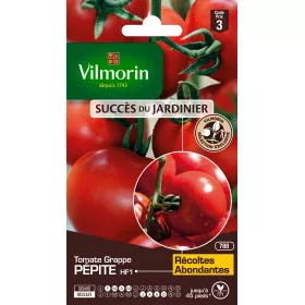 Sachet graines Tomate Grappe Pépite HF1