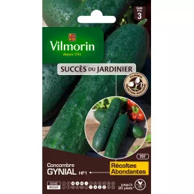 Cucumber Gynial HF1