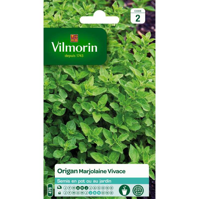 Samentüte Oregano Majoran Mehrjährig Samentüte Oregano Majoran Mehrjährig