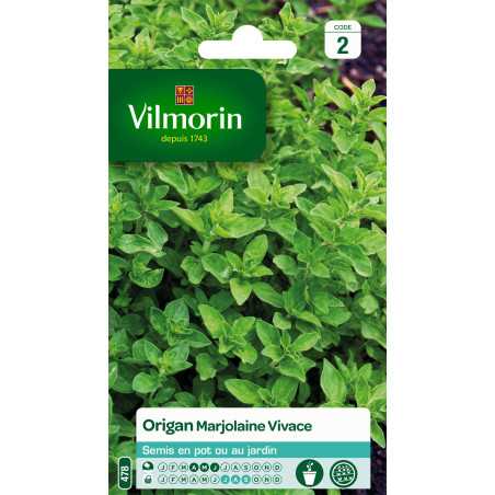 Sachet graines Origan Marjolaine Vivace
