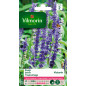 Borsa di semi di salvia blu Victoria Borsa di semi di salvia blu Victoria