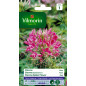 Bustina semi Cleome Rosa Bustina semi Cleome Rosa