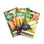 Pack de 3 sachets de graines de carottes originales et multicolores
