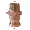 Male Camlock Fitting - Male Male Threaded Fitting - Type F
