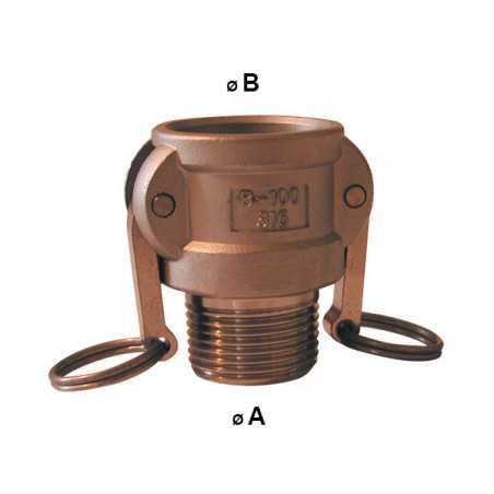 Racor Camlock hembra - terminal roscado macho en lat&oacute;n - Tipo B