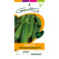HF1 Gondian Diamond Courgette Seed Bag HF1 Gondian Diamond Courgette Seed Bag
