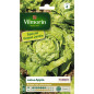 Seme Borsa Speciale Appia Grande Giardino Lattuga Seme Borsa Speciale Appia Grande Giardino Lattuga