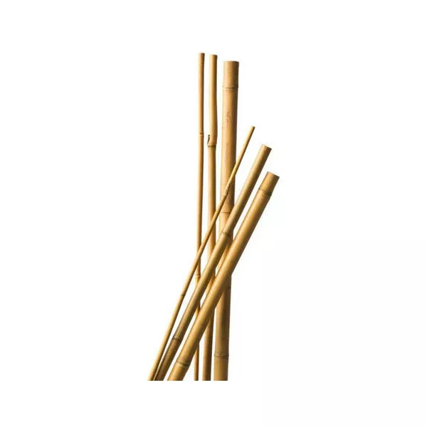 5 Tuteurs Bambou 120 cm diam 6-8 mm