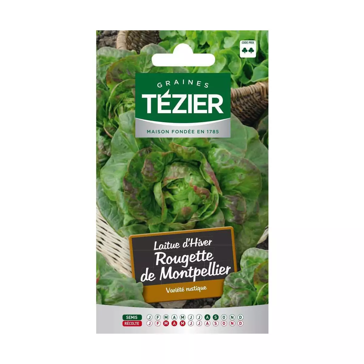 Sachetsamen Kopfsalat Rougette de Montpellier