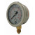 Silicone bath radial pressure gauge