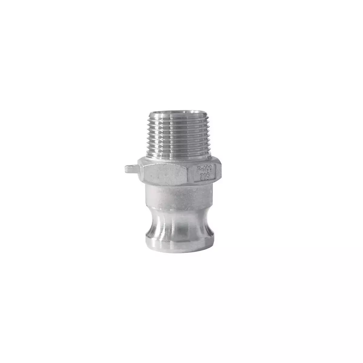 Male camlock coupling - male stainless steel threaded end - Type F