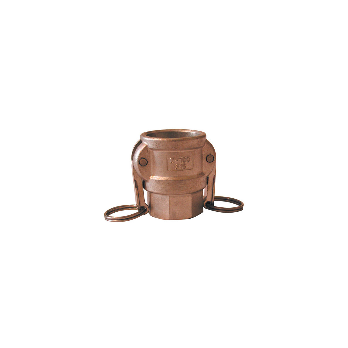 Raccord camlock femelle - filetage femelle BSP en laiton