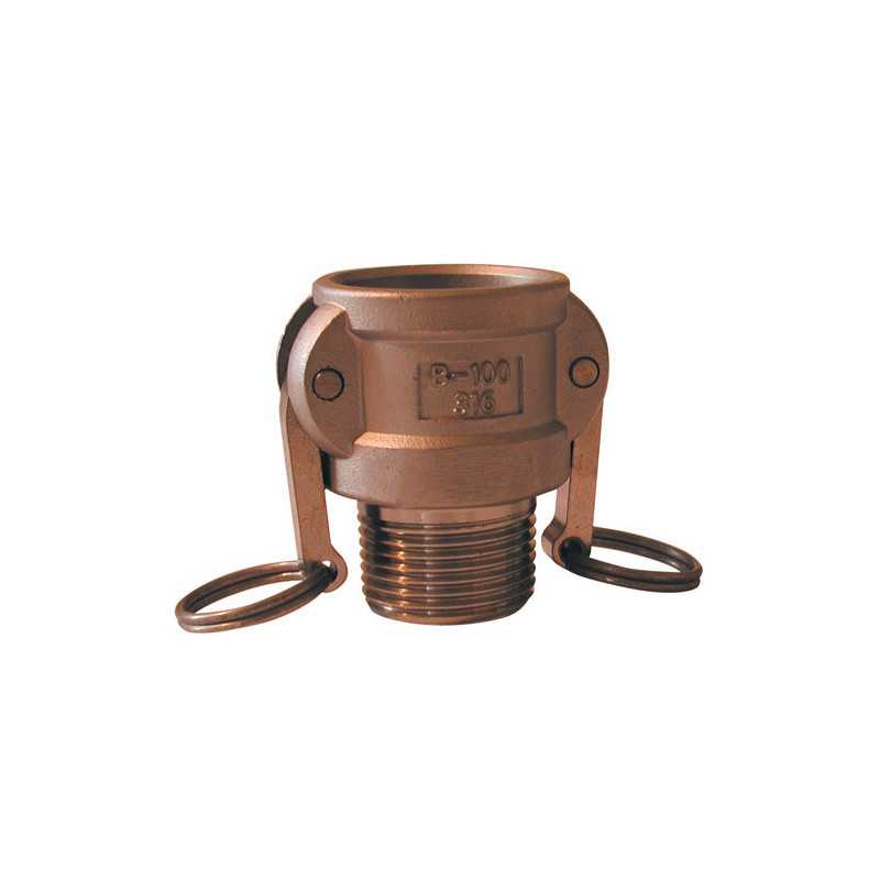 Racor Camlock hembra - terminal roscado macho en latón - Tipo B Racor Camlock hembra - terminal roscado macho en latón - Tipo B