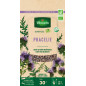 Semillas de Phacelia Ecológicas, caja de 60 grs