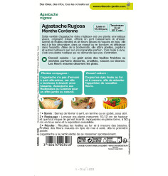 Sachet graines Agastache Rugosa - Menthe Coréenne