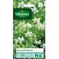 Borsa White Bourrache Seeds Borsa White Bourrache Seeds