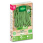 Green Cupid's Green Bean Seeds BIO Cup - 20 meters Green Cupid's Green Bean Seeds BIO Cup - 20 meters
