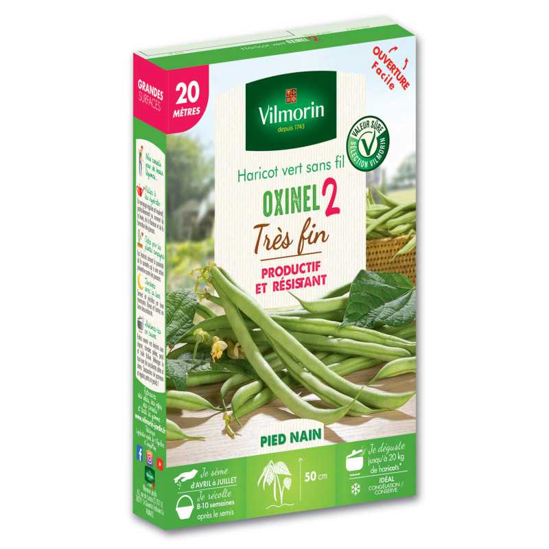 Green Dwarf Bean Seeds Oxinel 2 - 20 meters