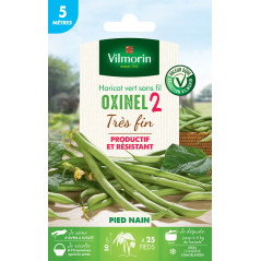 Graines de Haricot Nain Vert Oxinel 2 - 5 metres