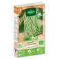 Oxinel Green Dwarf Bean Seeds 2 ORGANIC - 10 metres